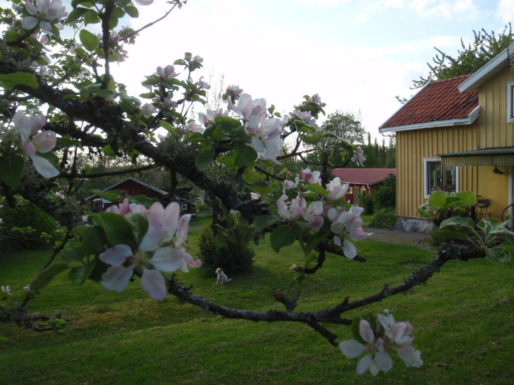 Stf Lugnasberget Ekohotell 玛丽斯塔德 外观 照片
